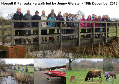 Horsell Common & Fairoaks Walk - 18th December 2013