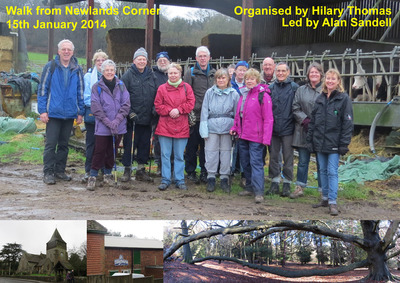 Newlands Corner and West Clandon Walk - 15th January 2014