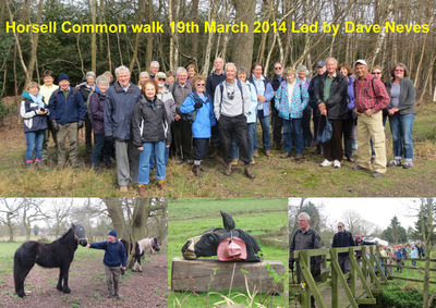 Horsell Common Walk - 19th March 2014