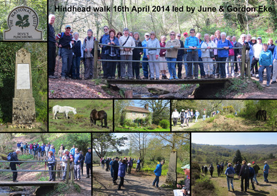 Hindhead Walk - 16th April 2014