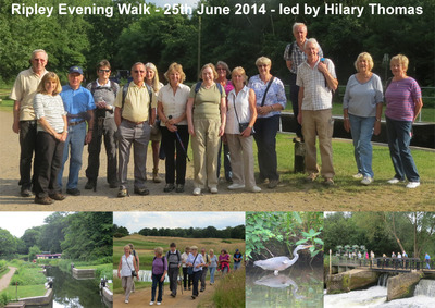 Ripley Evening Walk - 25th June 2014