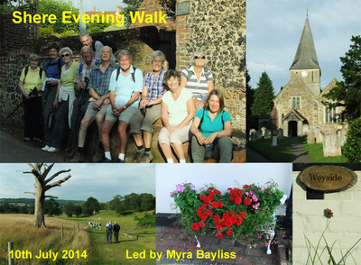 Shere Evening Walk - 10th July 2014