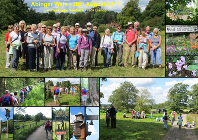 Abinger Common and North Downs Walk - 20th August 2014