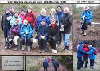 Farley Heath to Blackheath Walk - 26th December 2014