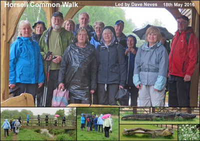 Walk - Horsell Common - 18th May 2016