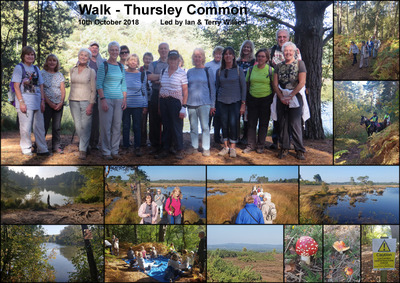 Walk - Thursley Common - 10th October 2018