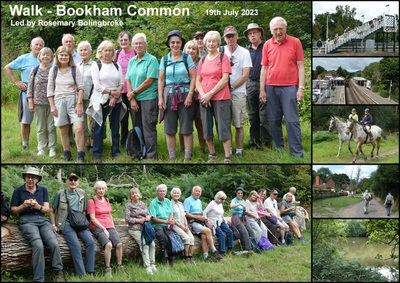 Walk - Bookham Common - 19th July 2023