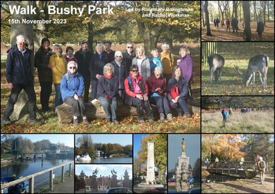 Walk - Bushy Park - 15th November 2023