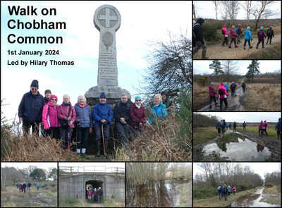 Walk - Chobham Common - 1st January 2024